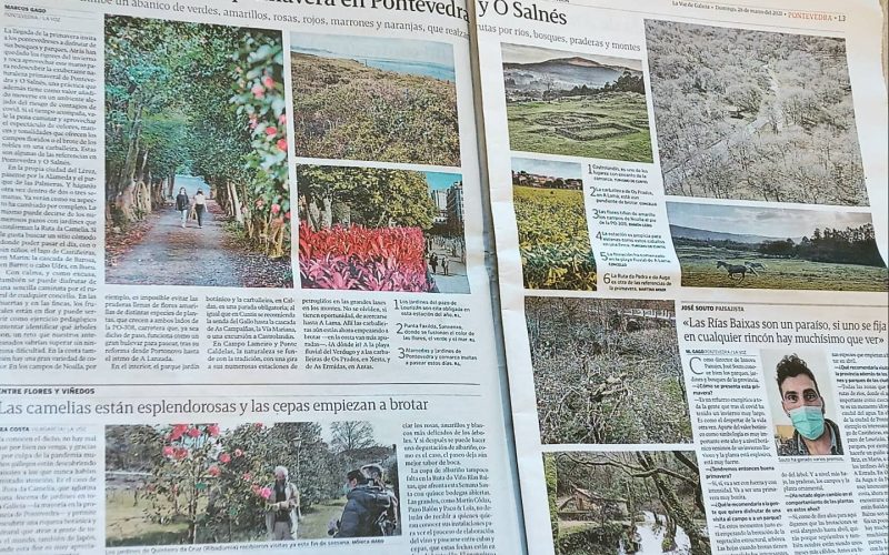 prensa