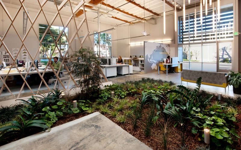 oficina con jardin