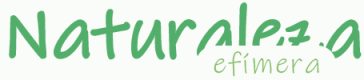 logo_web_top